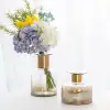 North Wind InS-style light luxury copper ring gradient color glass vase simple and creative flower arrangement wholesale in stock details Picture